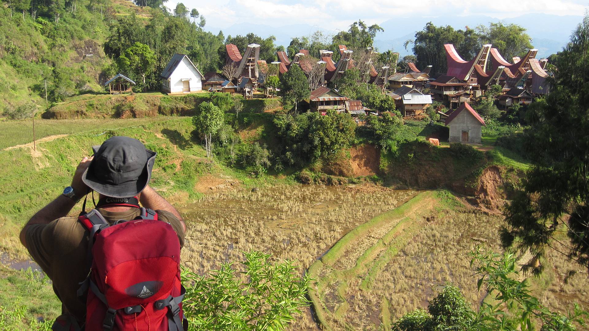 Sulawesi du Sud : culture et traditions des peuples Toraja et du Pays Bugis