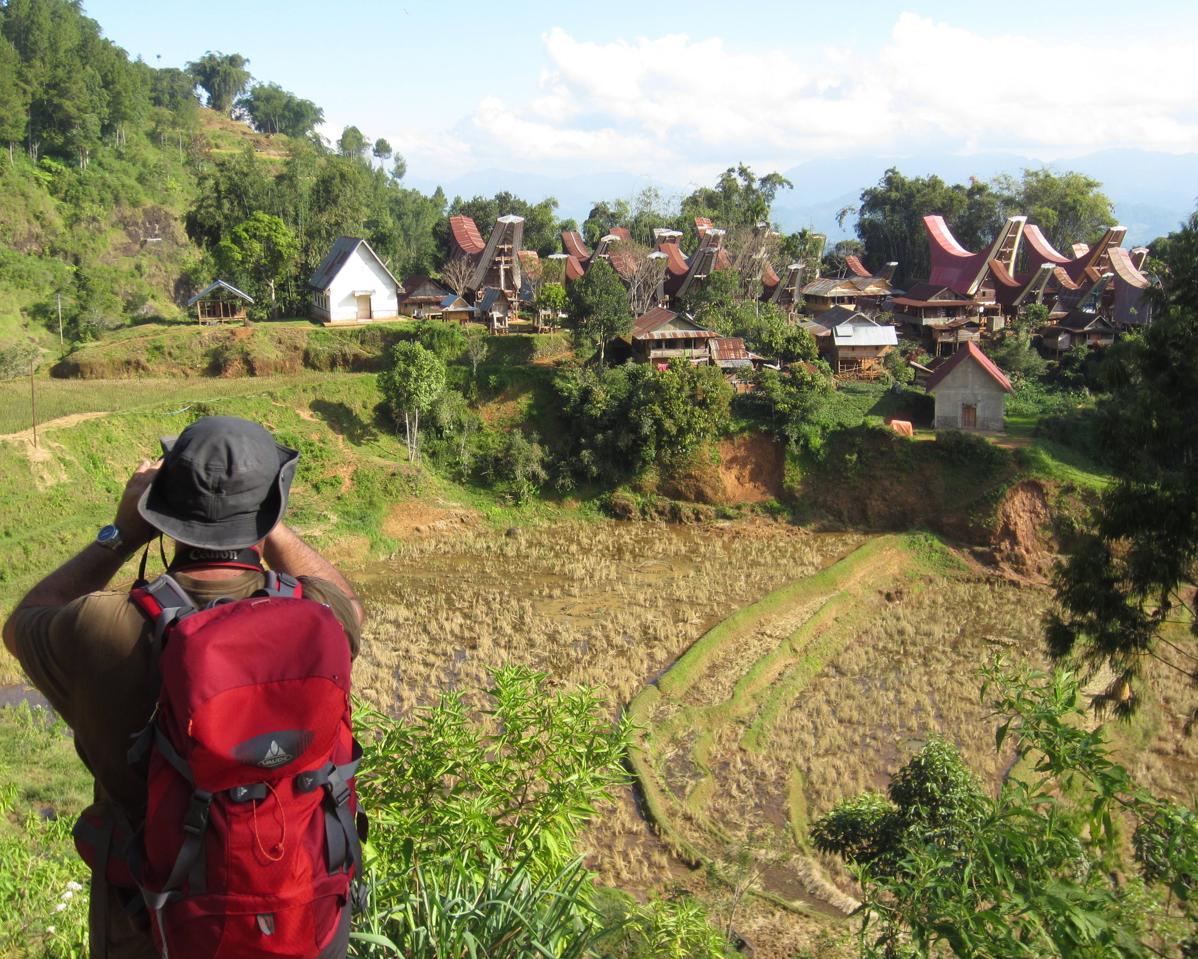 Sulawesi du Sud : culture et traditions des peuples Toraja et du Pays Bugis