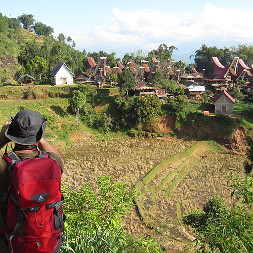 Sulawesi du Sud : culture et traditions des peuples Toraja et du Pays Bugis - 