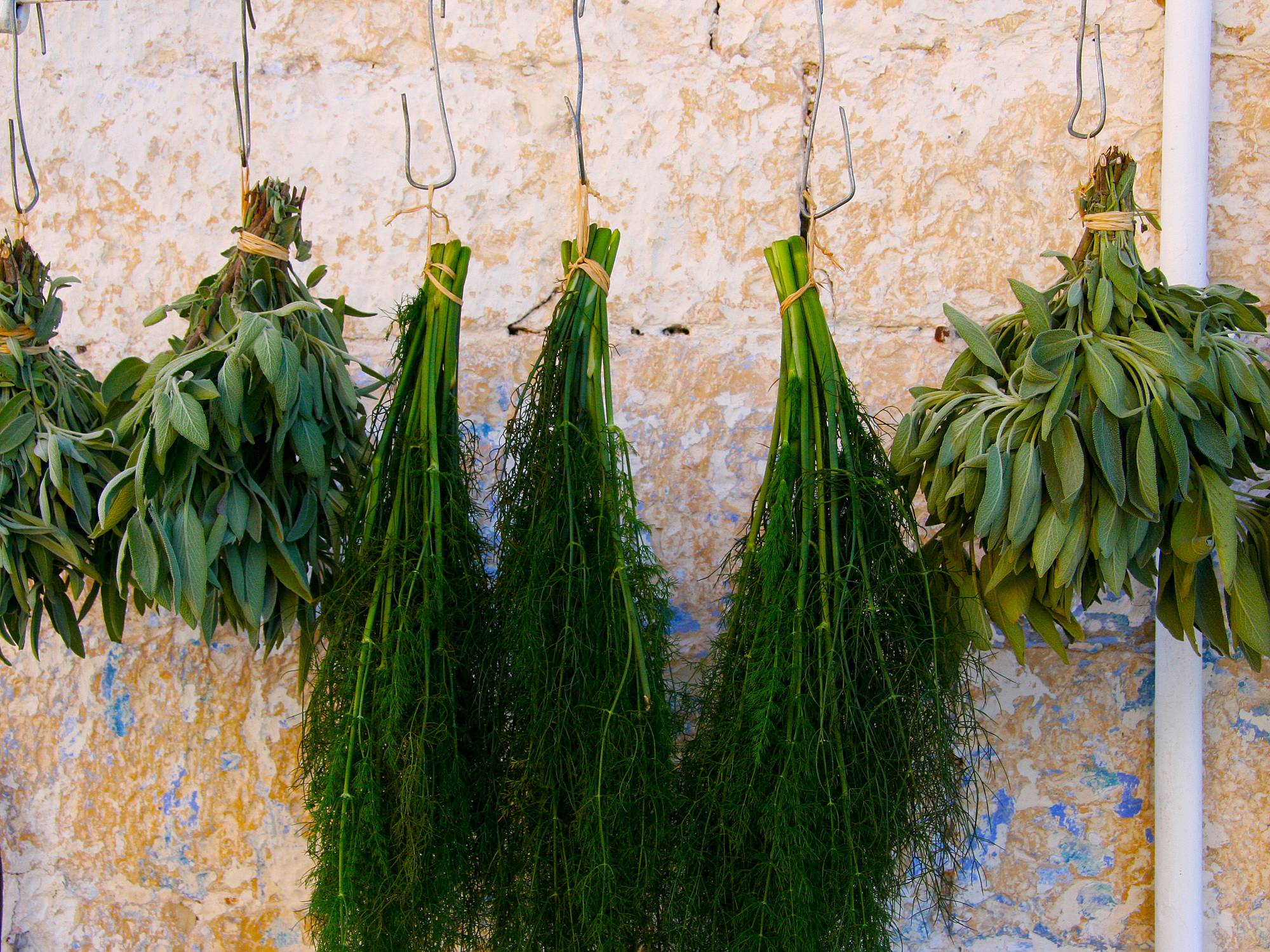 ​Wanderung auf Taygetos um Pilze und Kräuter zu sammeln; Kochkurs und Besuch beim Olivenmuseum