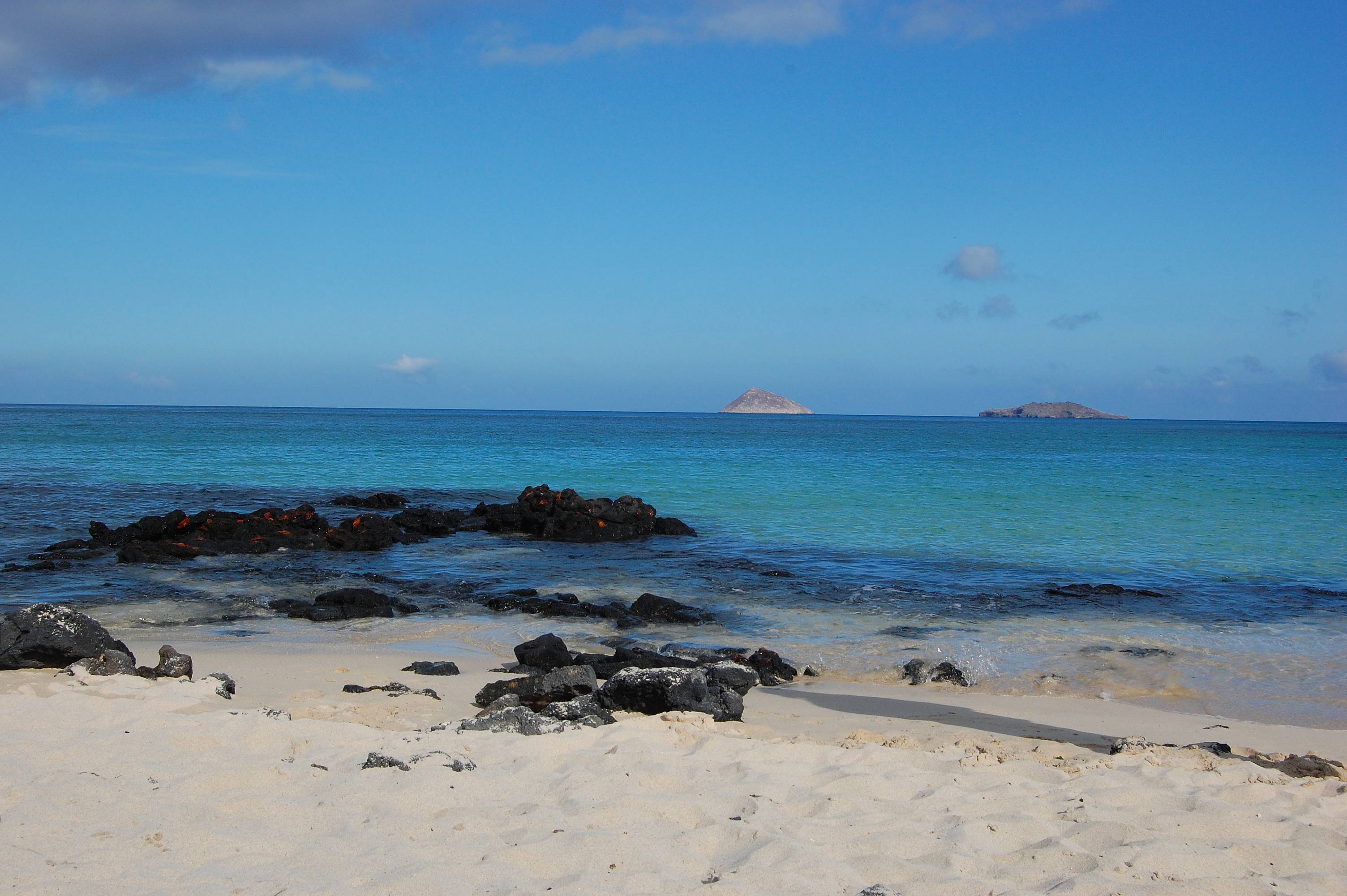 ​Envol pour les Galapagos – Hautes terres de l’île de Santa Cruz 