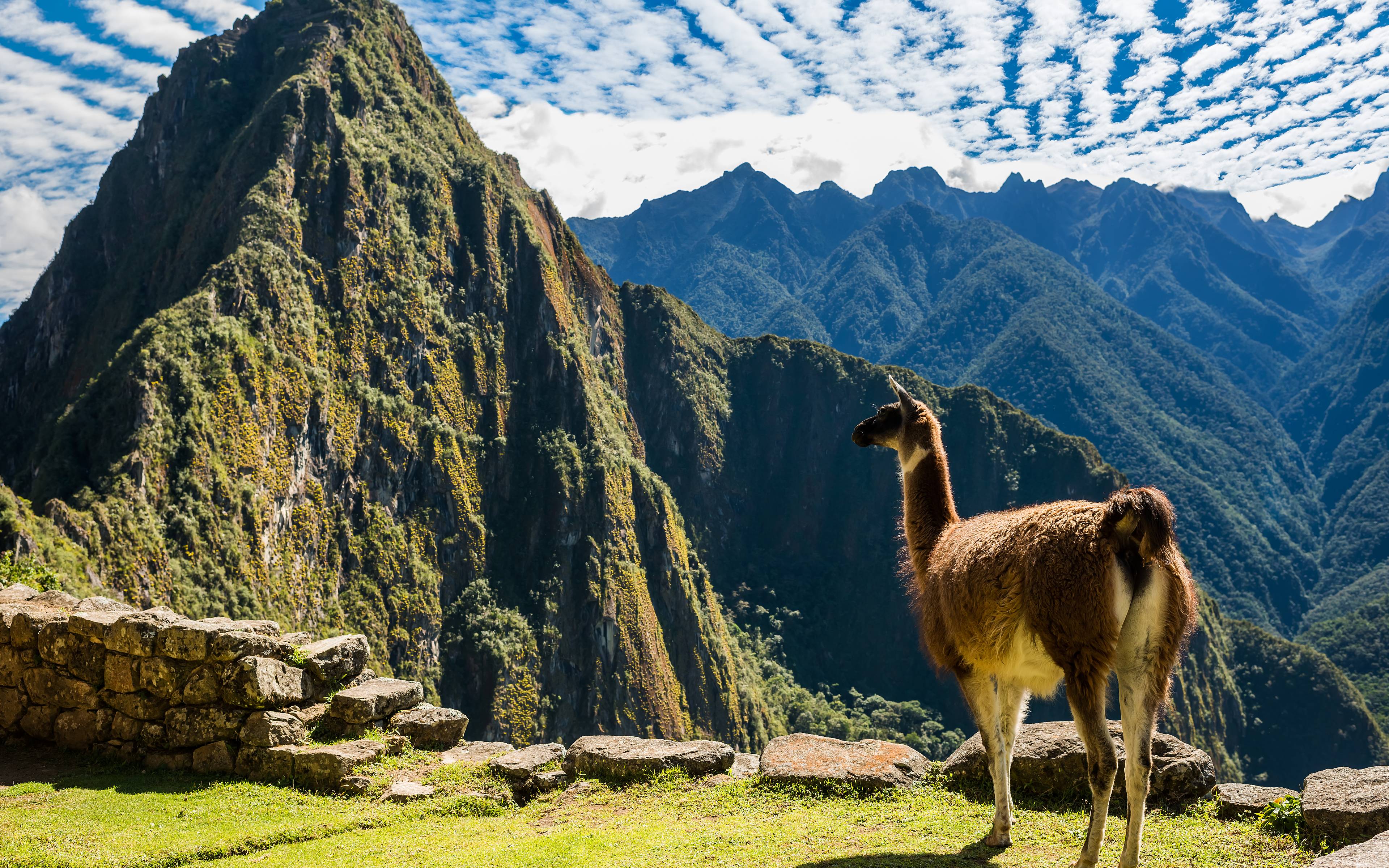 Scoperta di Machu Picchu