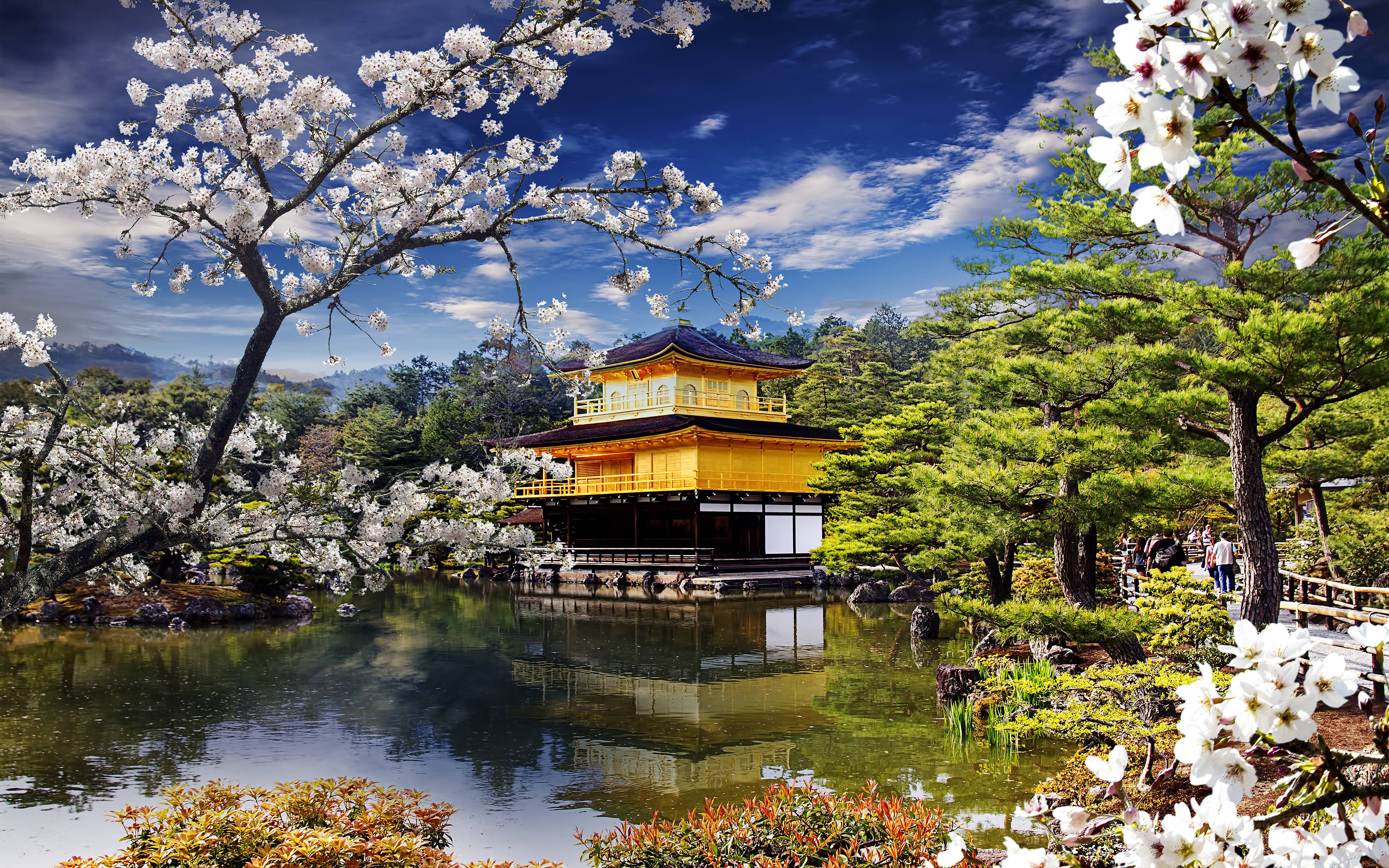Trasferimento per la bellissima e affascinante Kyoto