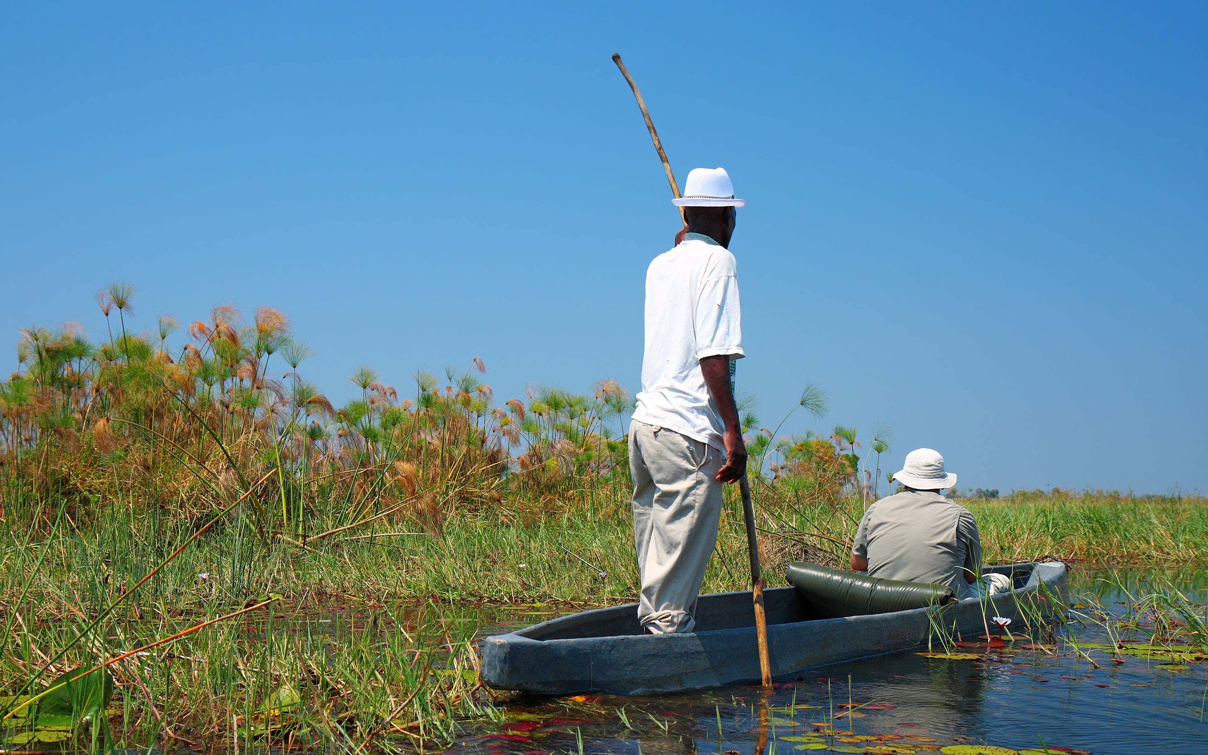 Okavango Delta: Naturwanderungen & Mokoroausflüge