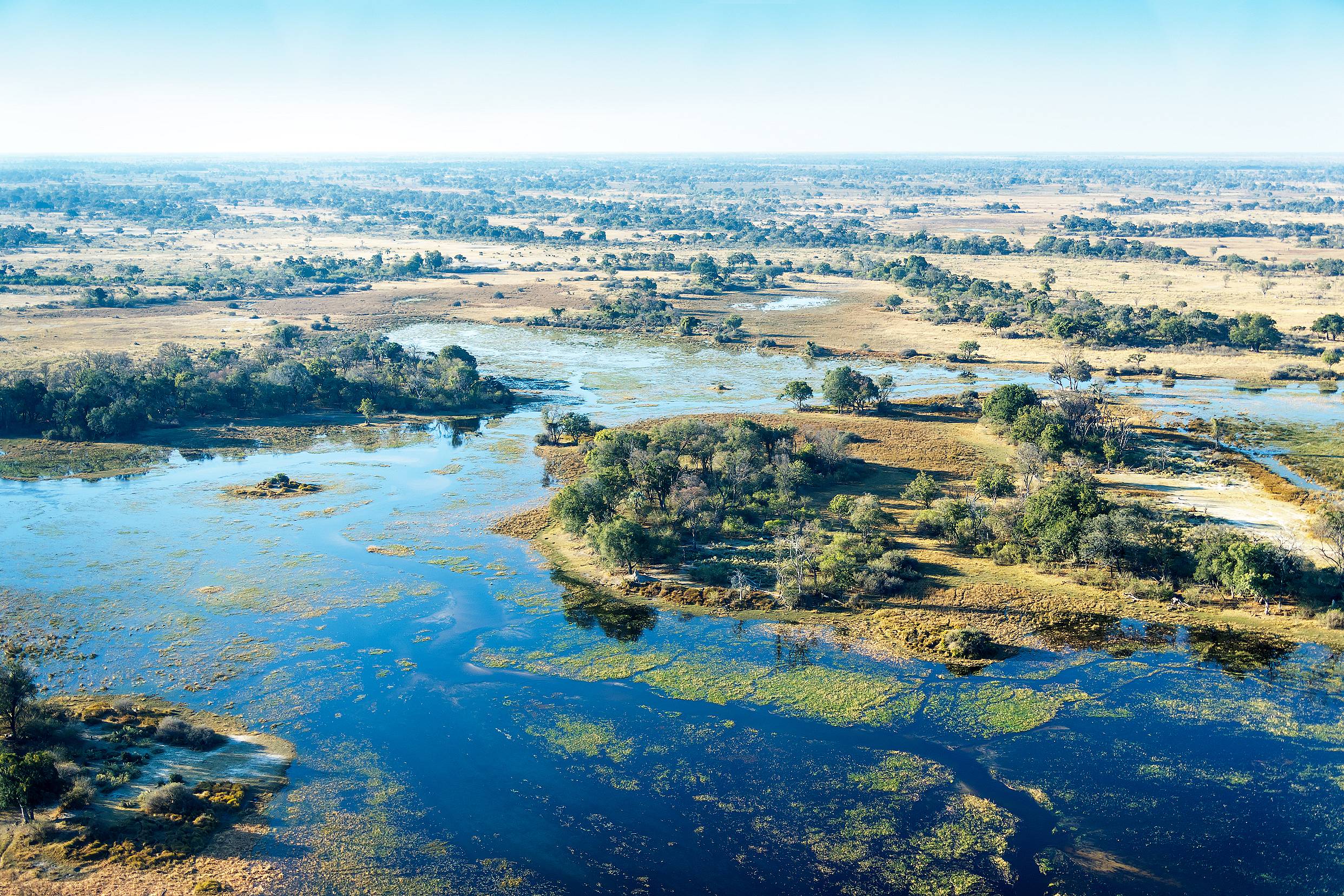 Reisetag ins Okavango Delta