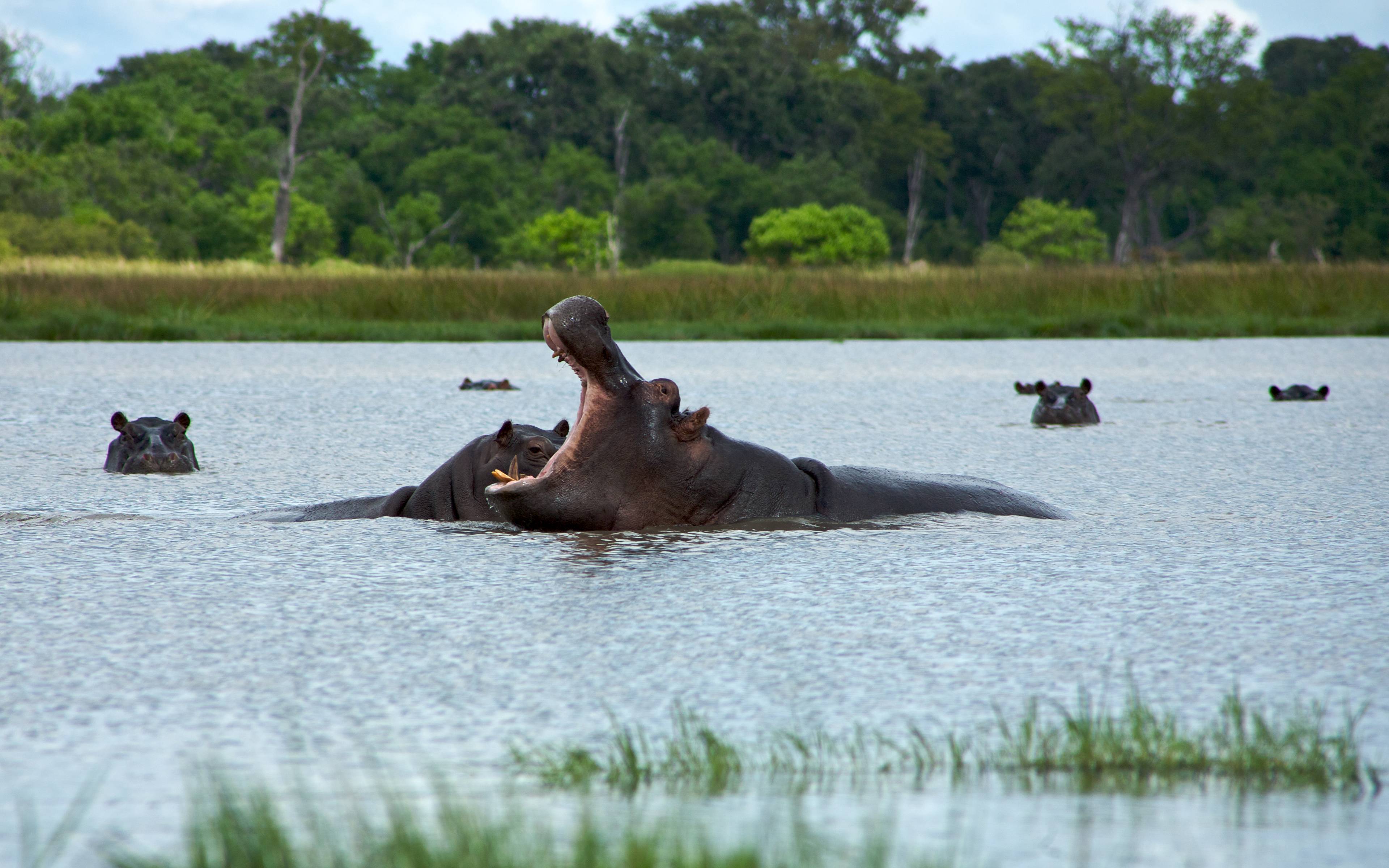 Reisetag innerhalb des Okavango Deltas