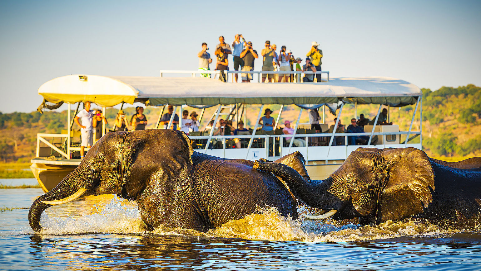 botswana safari und badeurlaub