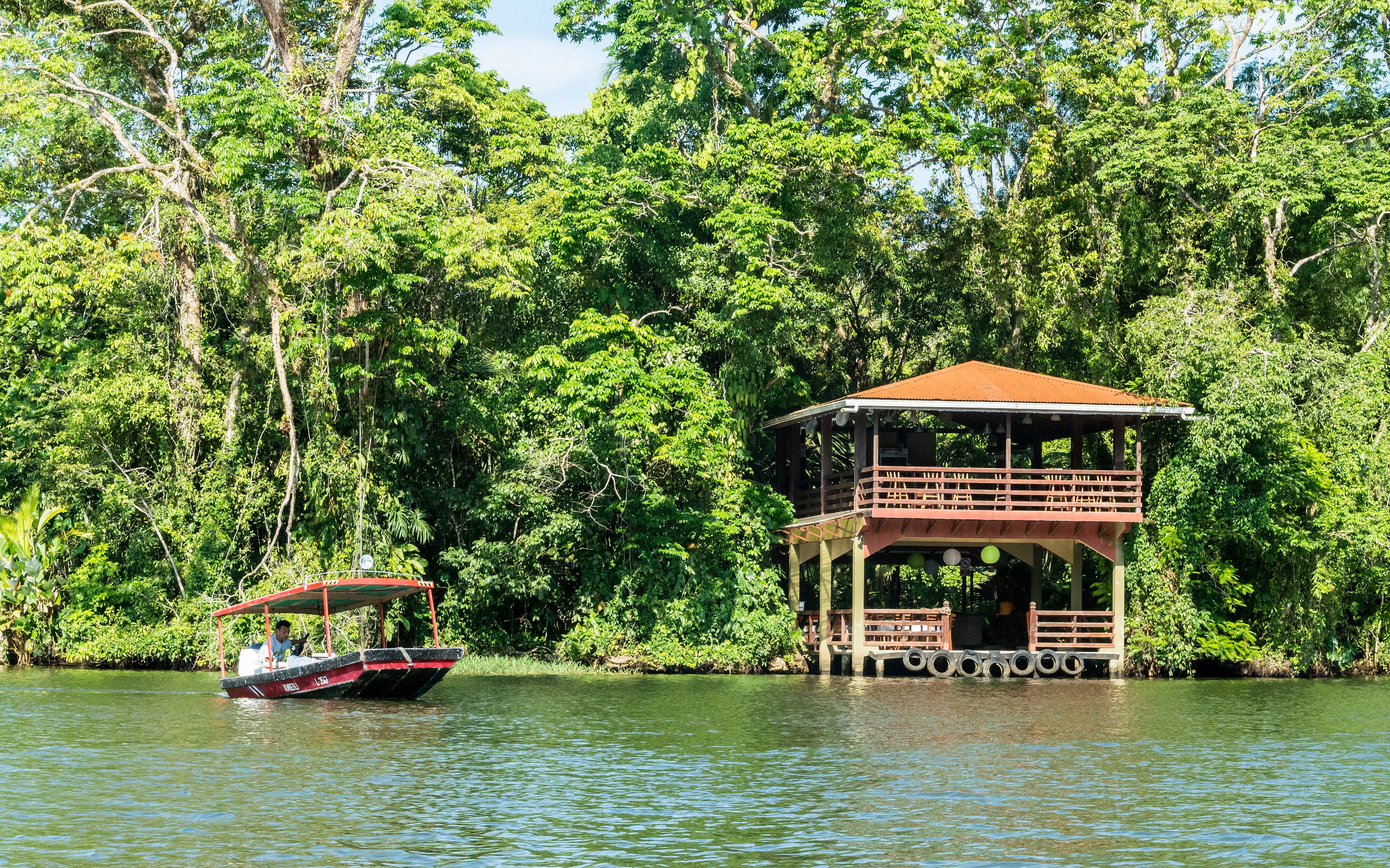 Route vers la petite Amazonie : Tortuguero