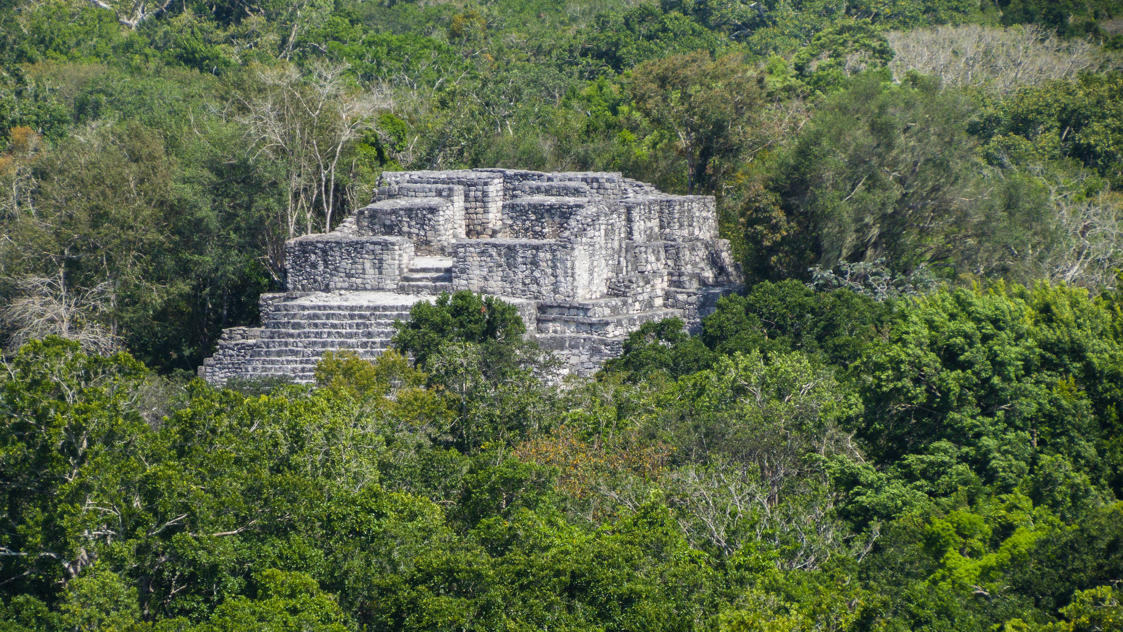 Visita alla Riserva di Calakmul 