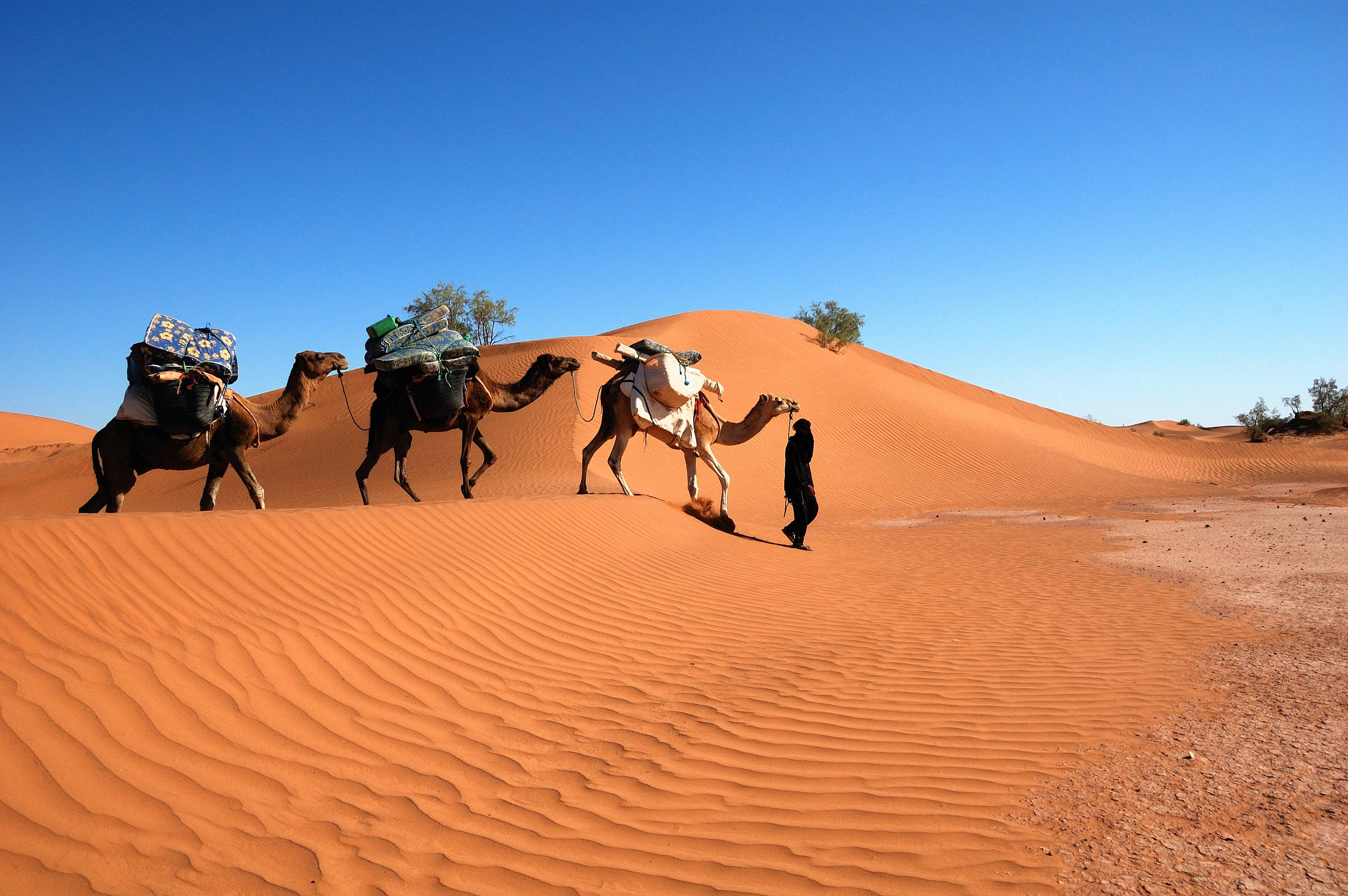 Encuentro con los bereberes en el desierto