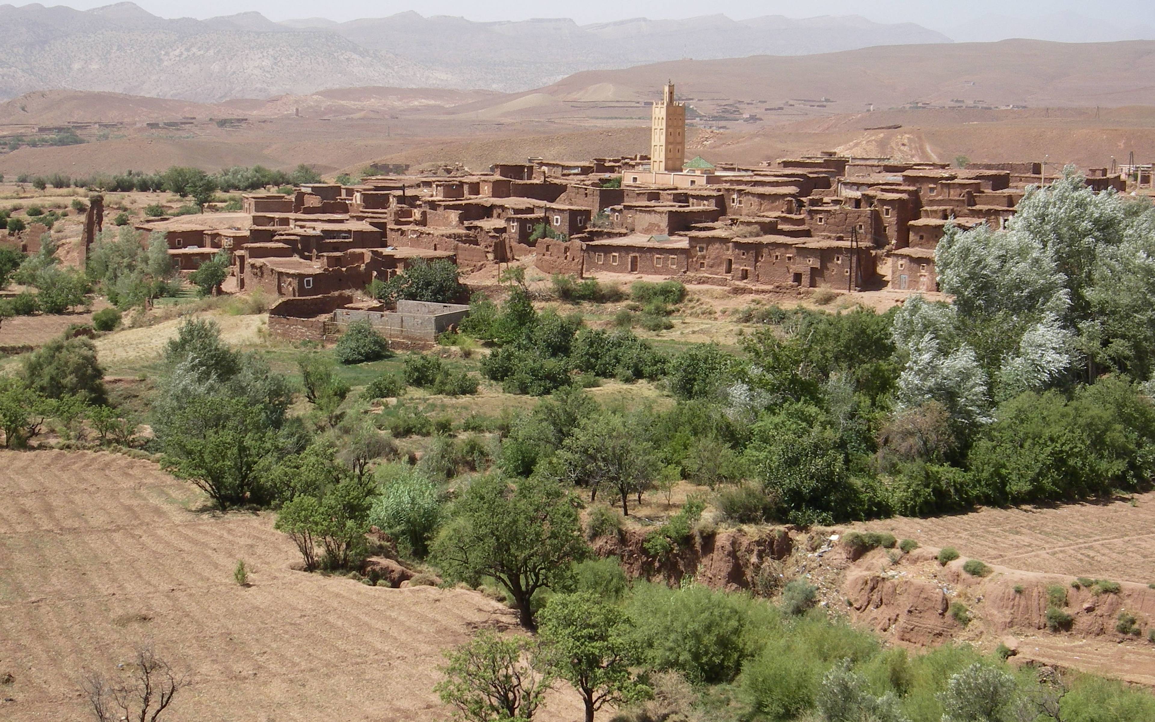 Recorrido por Ait Ben Haddou, Ouarzazate y Valle de las rosas, Dades