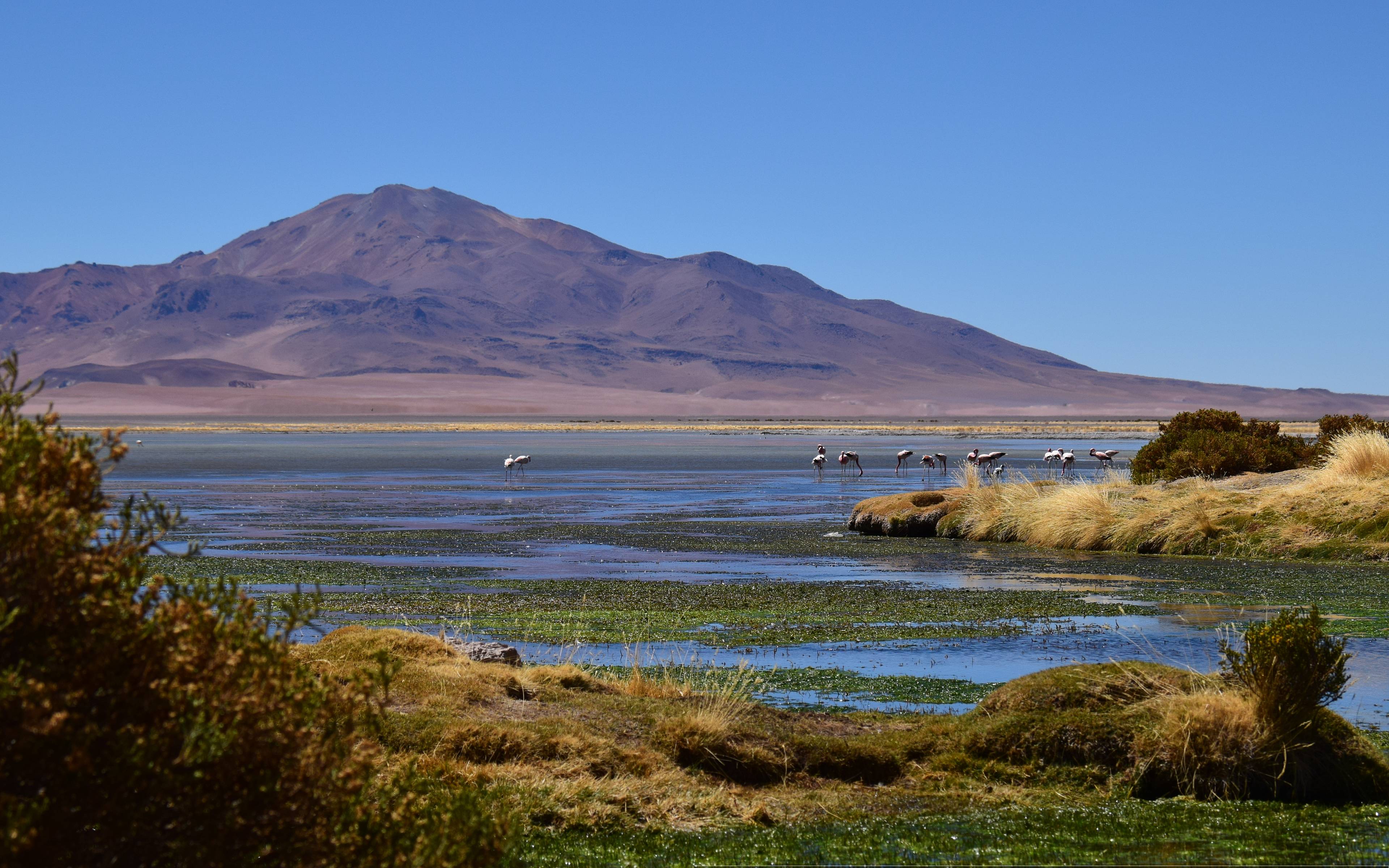 Ritorno a San Pedro de Atacama