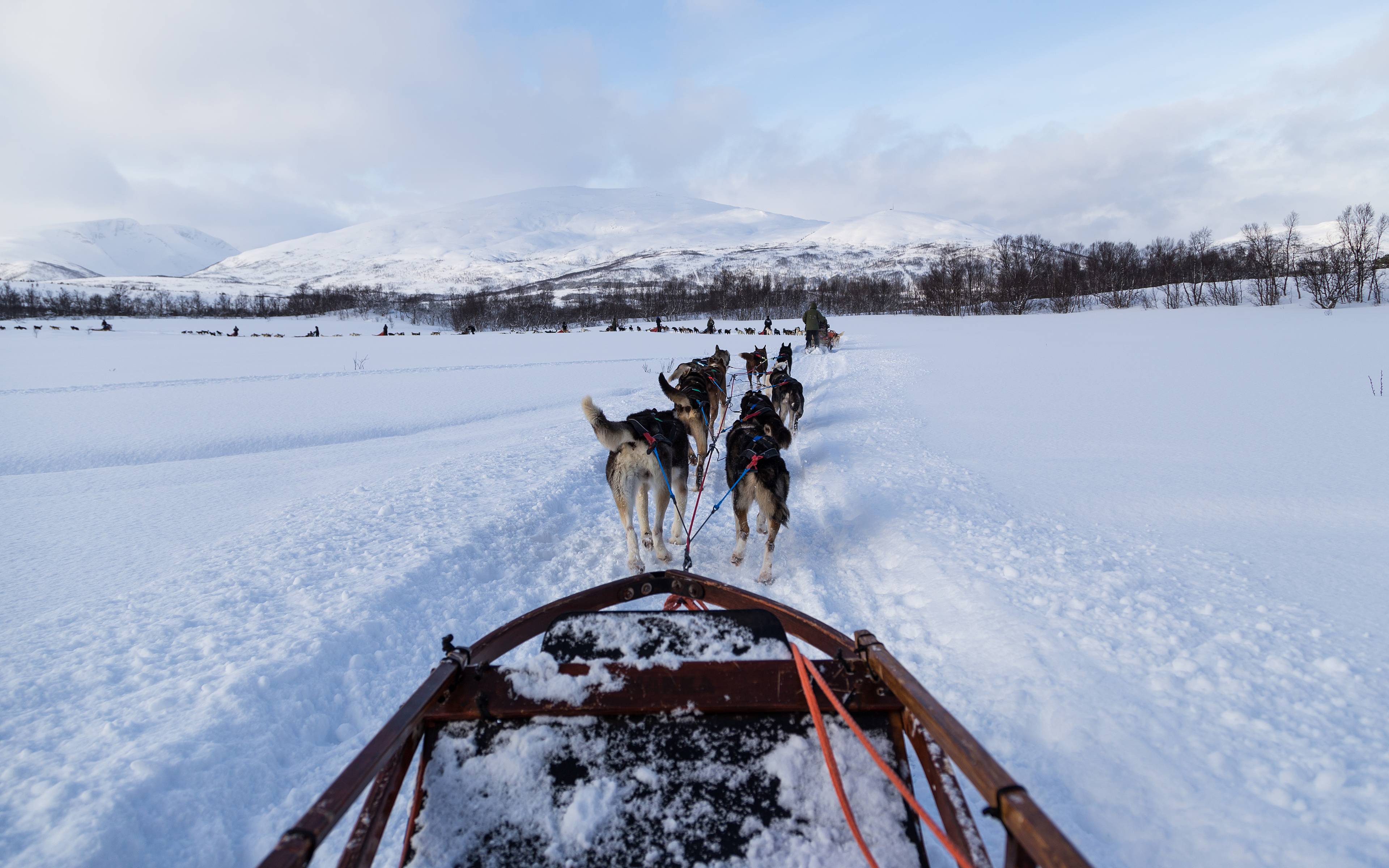 Trineo de renos y cultura sami