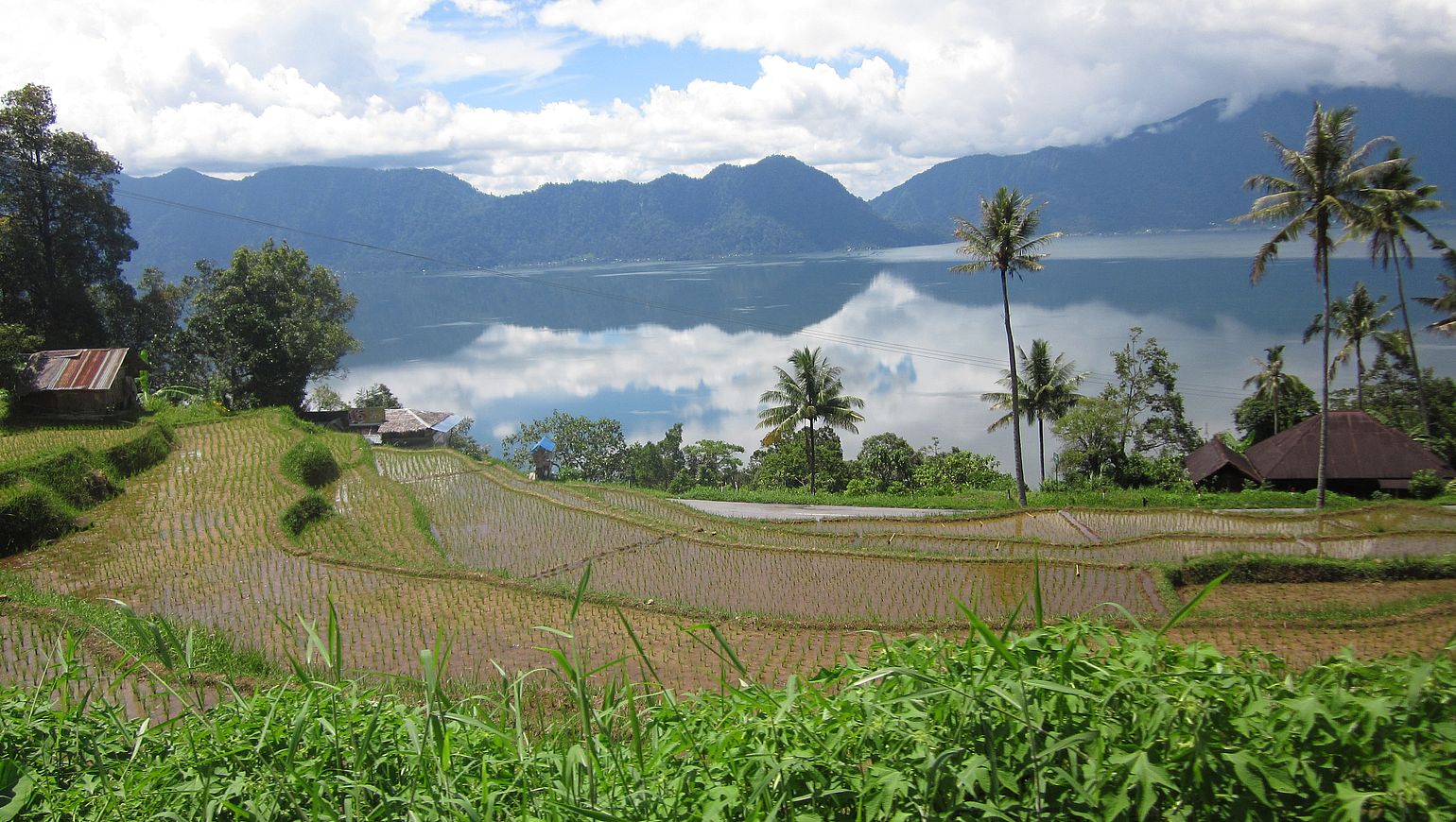 Circuit Indon sie Trans Sumatra du Nord  au Sud Evaneos