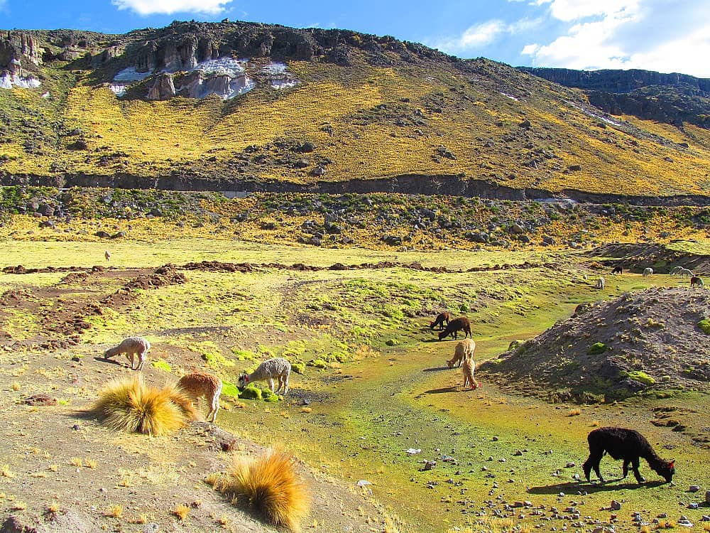 Reise nach Cusco