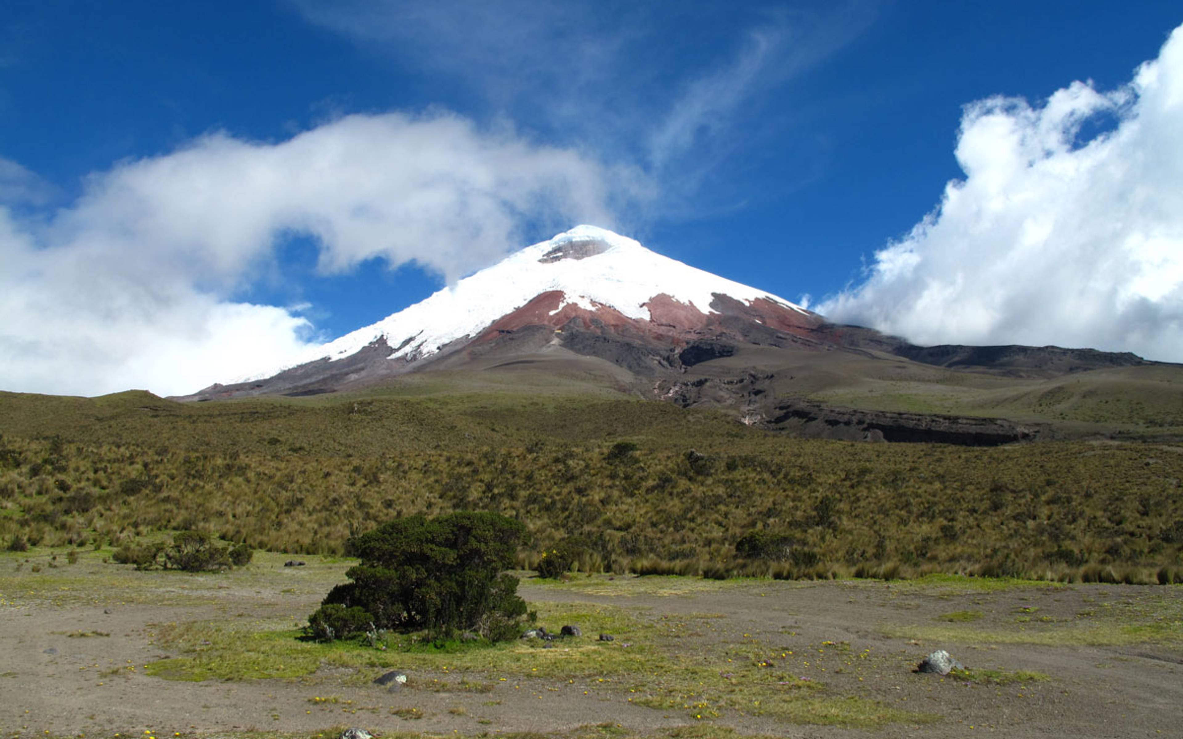 Cotopaxi Nationalpark -Patate