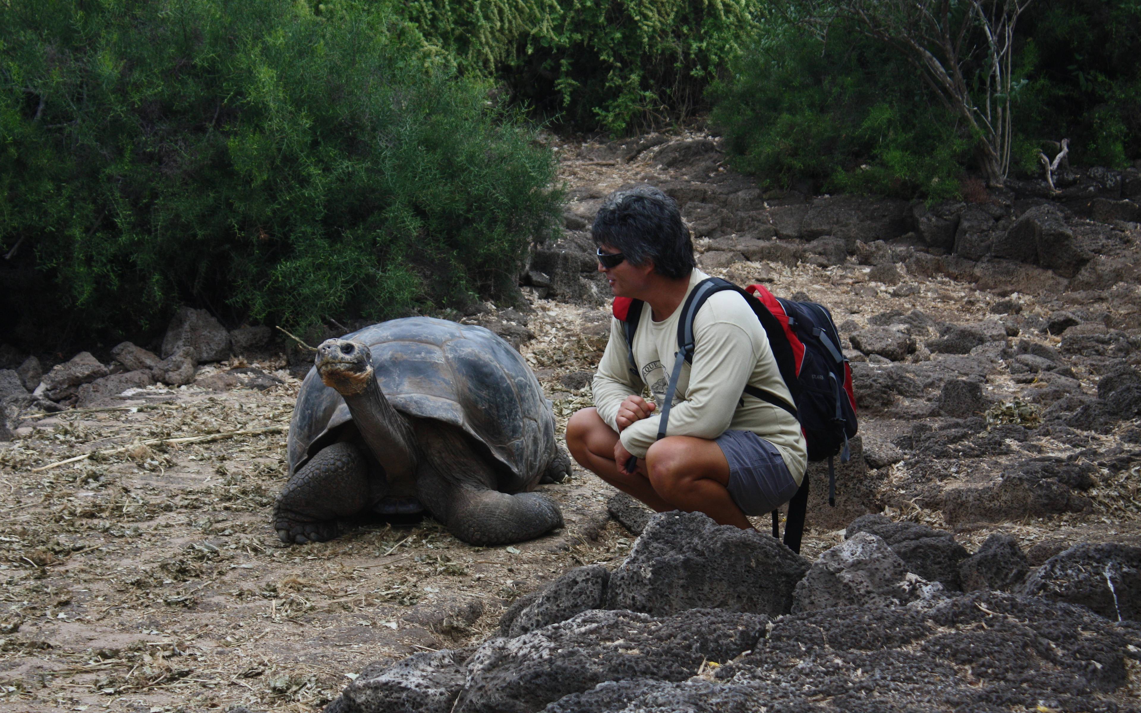 Transfer nach Santa Cruz – Wandern zwischen Riesenschildkröten 