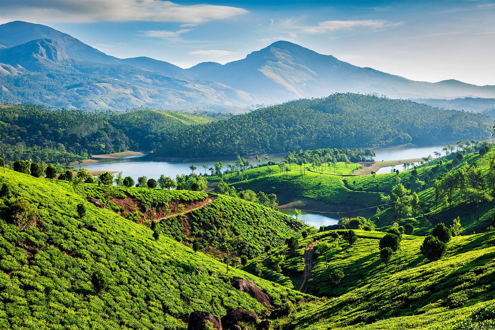 Hoch zu Rad durch Keralas verträumte Teelandschaften