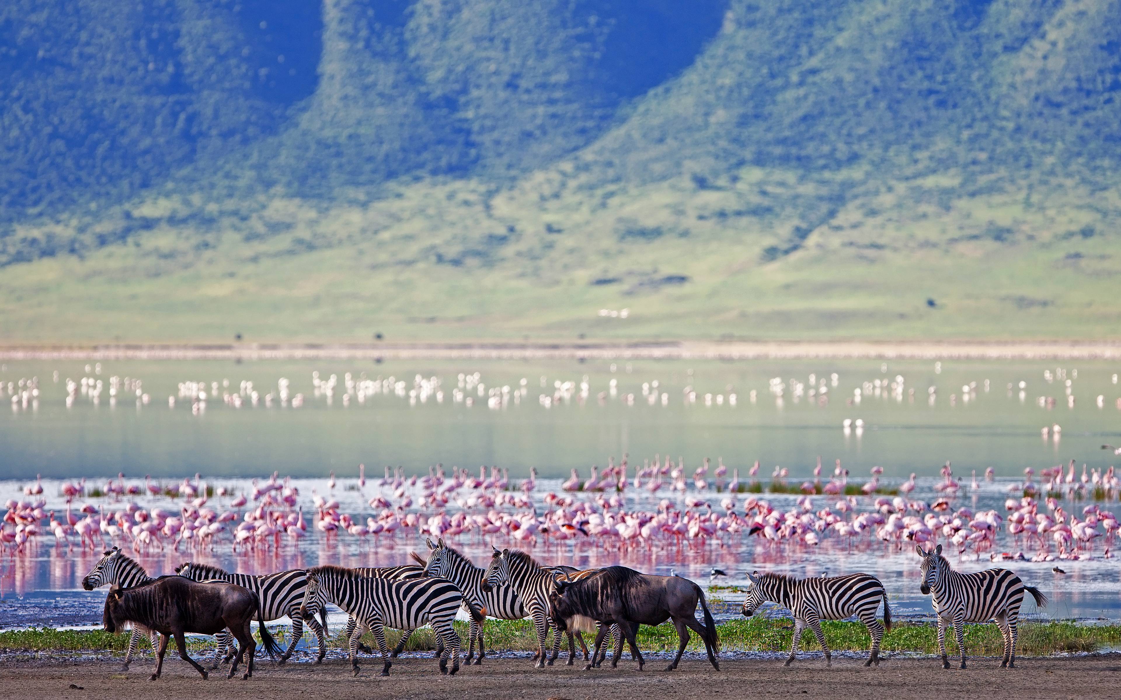 Parque Nacional del Serengeti y Cráter Ngorongoro