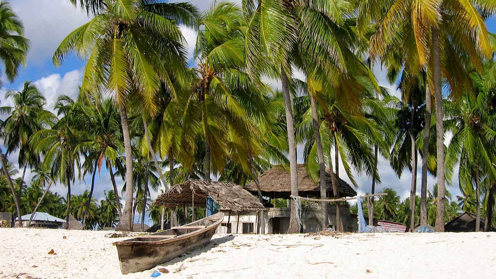 Lo mejor de Kenia, Tanzania y Playas de Zanzibar