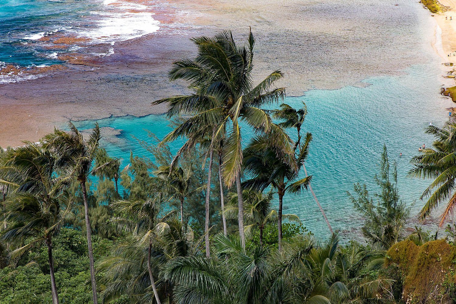 Les quatre îles de l'archipel d'Hawaii