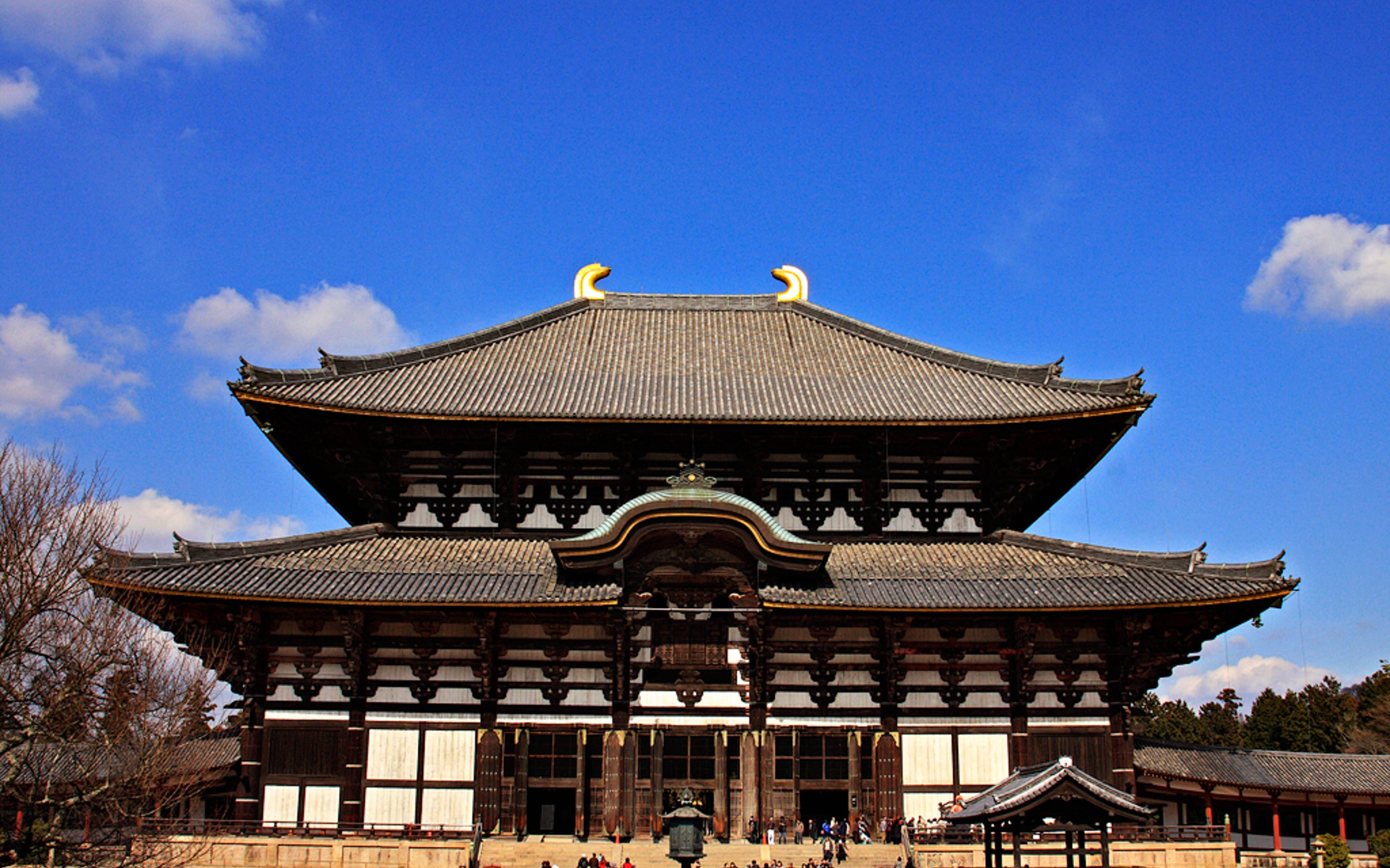 Excursión a Nara e Inari