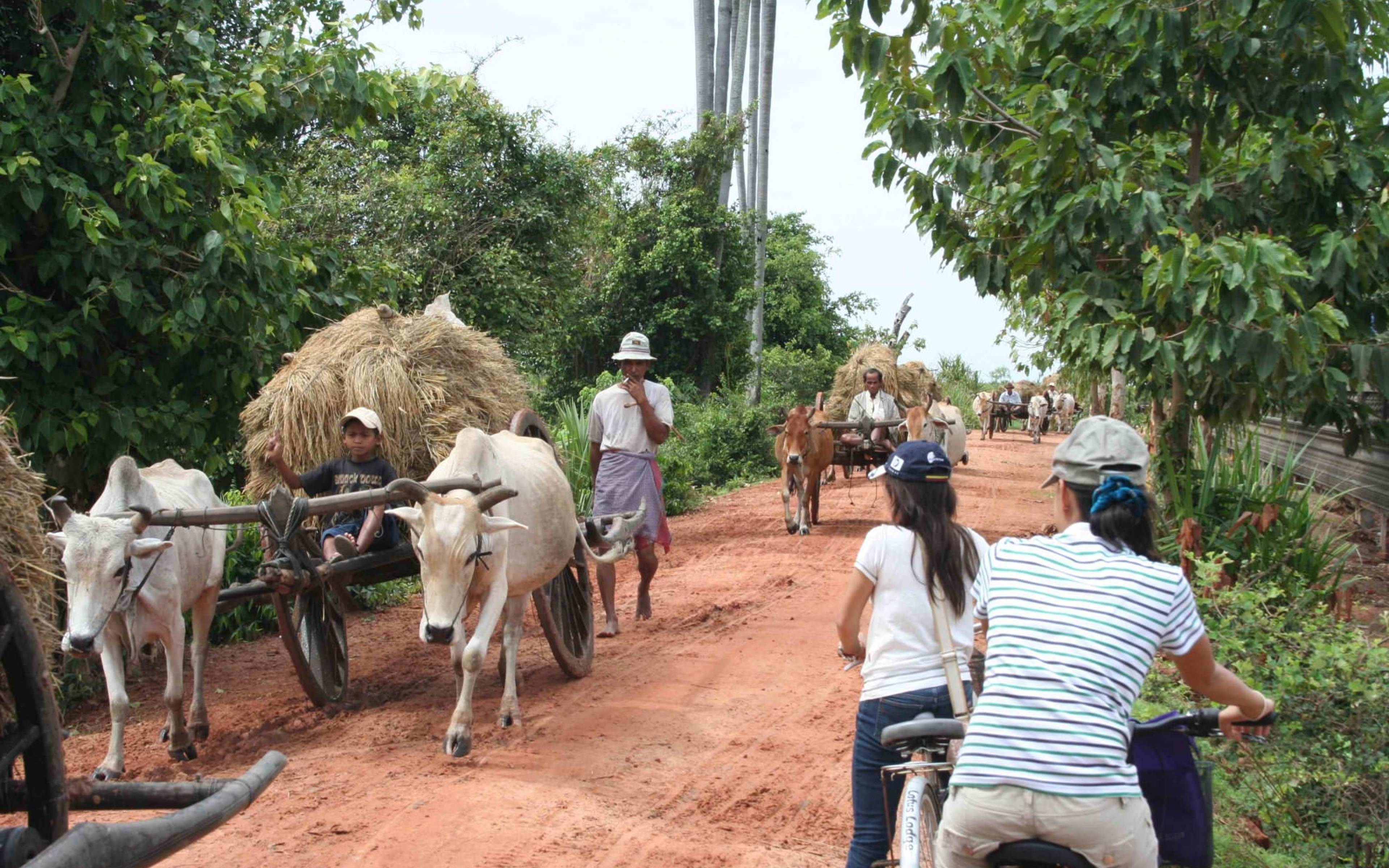 Fahrradtour auf die Mekong Insel
