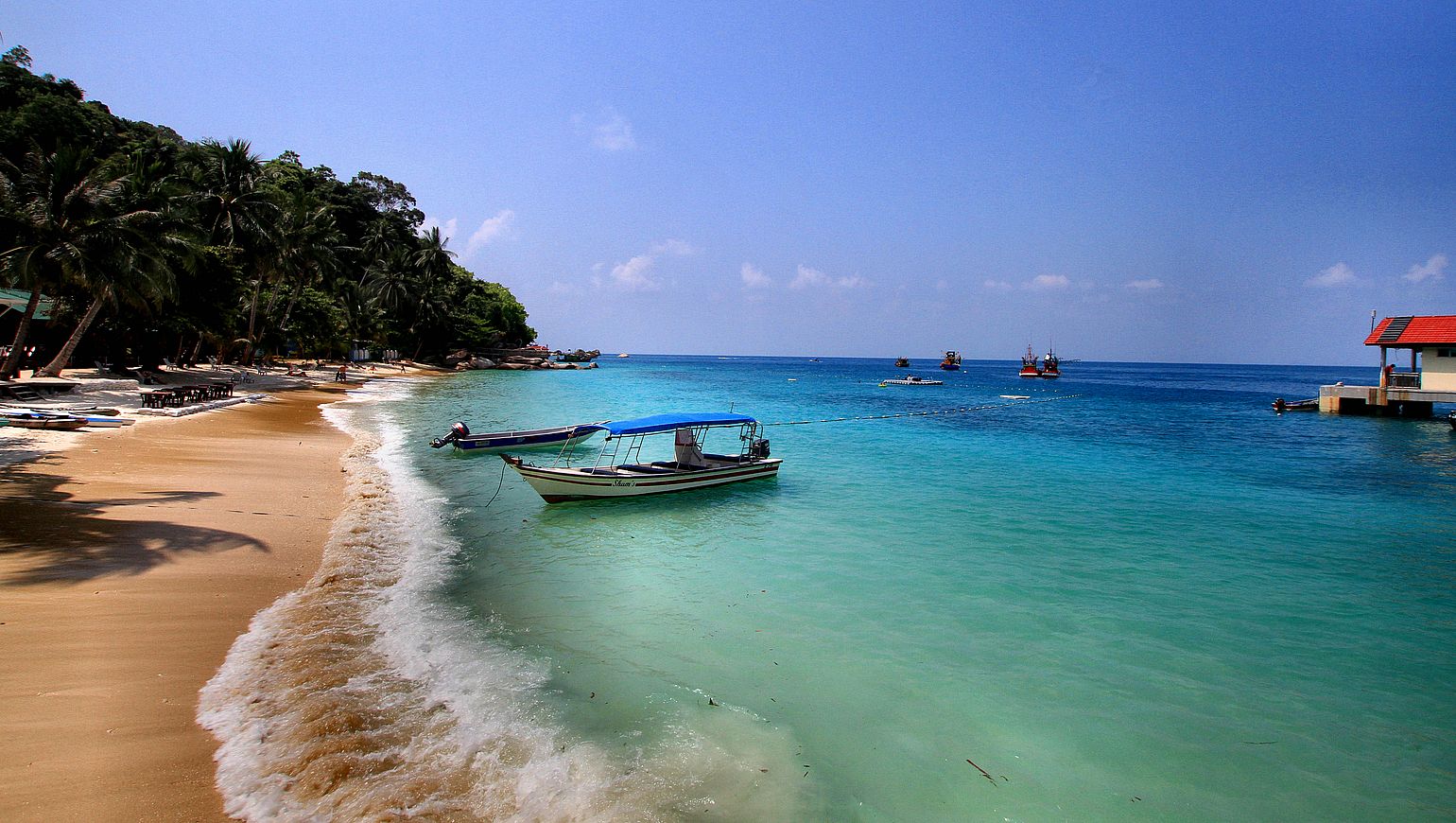 Circuit Malaisie  Culture jungle et plages  paradisiaques 