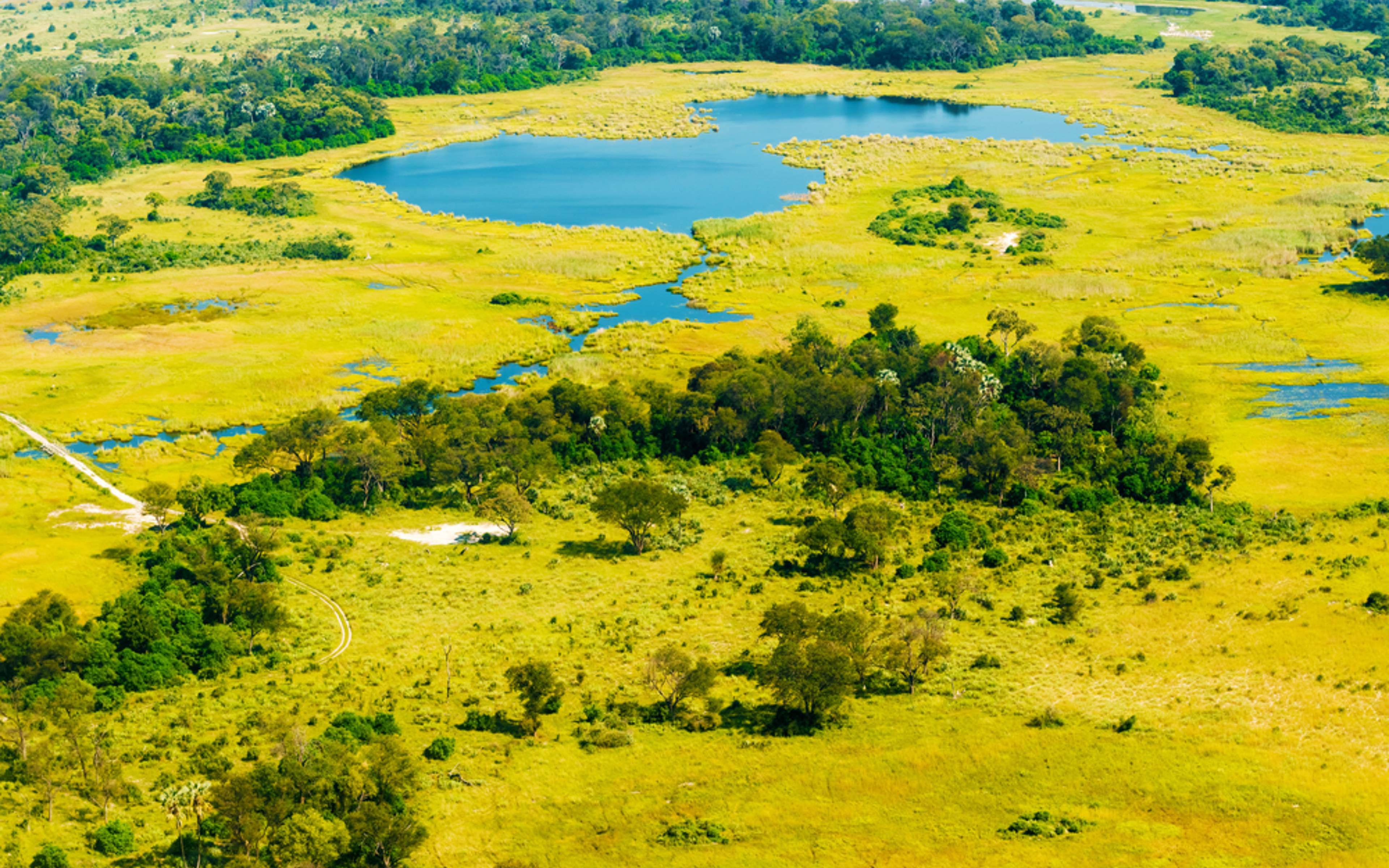 Ankunft in Maun und Transfer zum Okavango Delta 