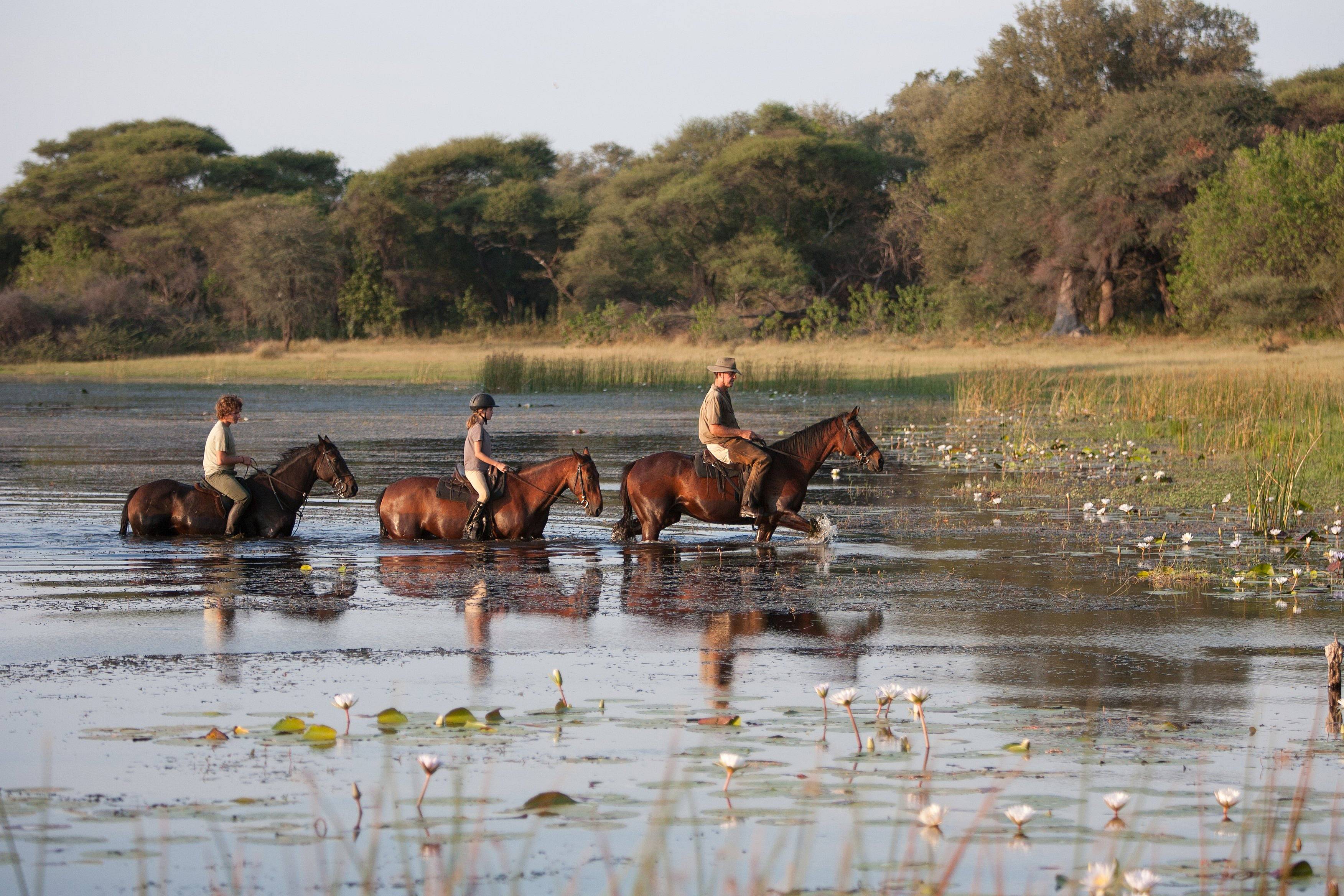 Im Schritt, Trab und Galopp durch das Okavango Delta 