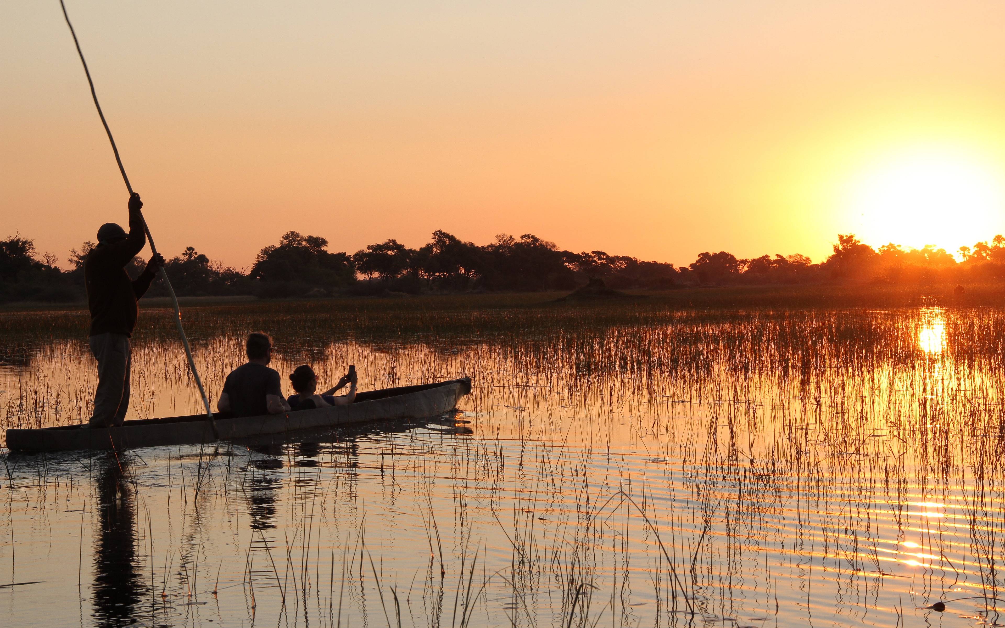 Die Pflanzen- und Tierwelt im Okavango Delta