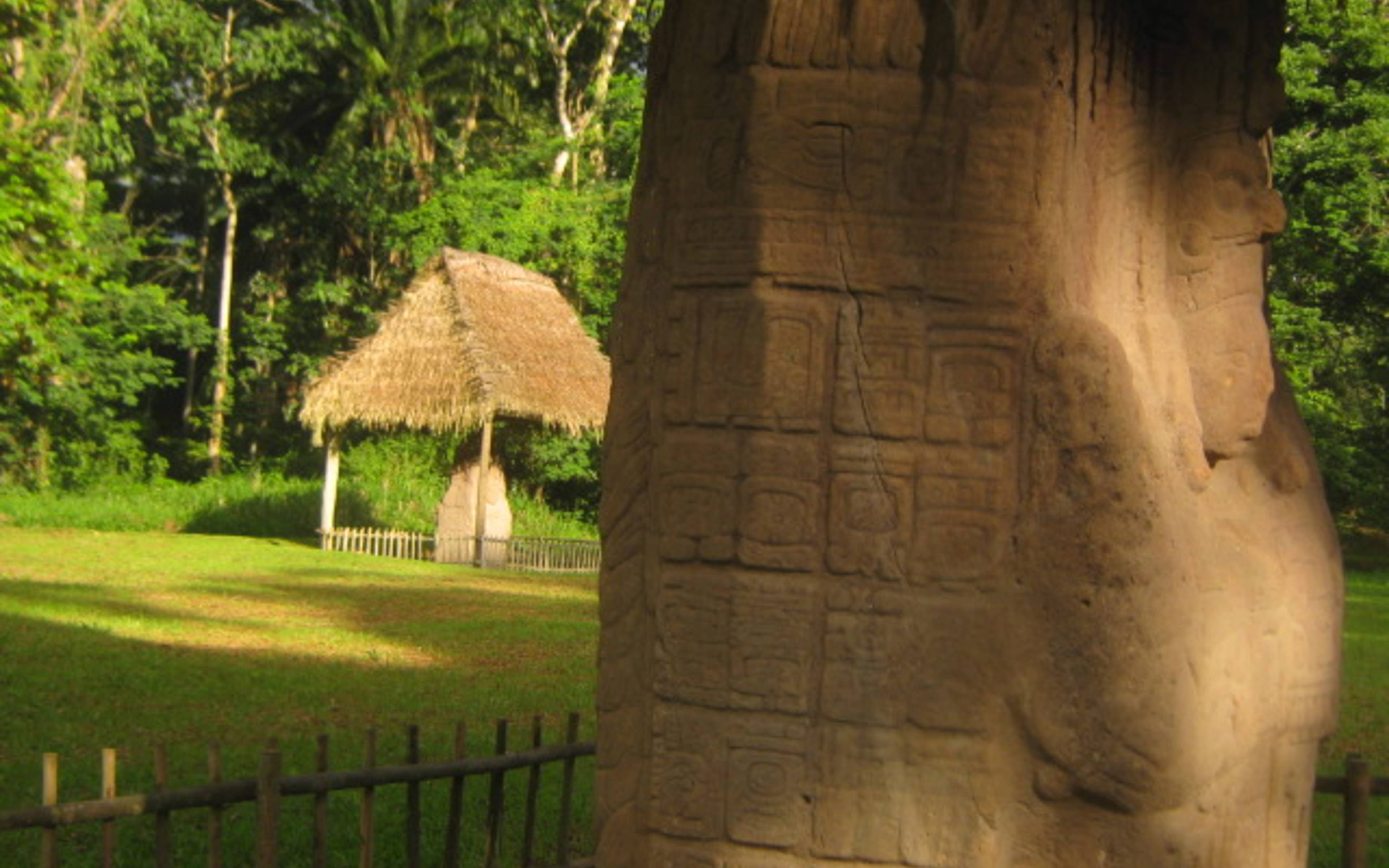 Découverte des stèles du monde Maya