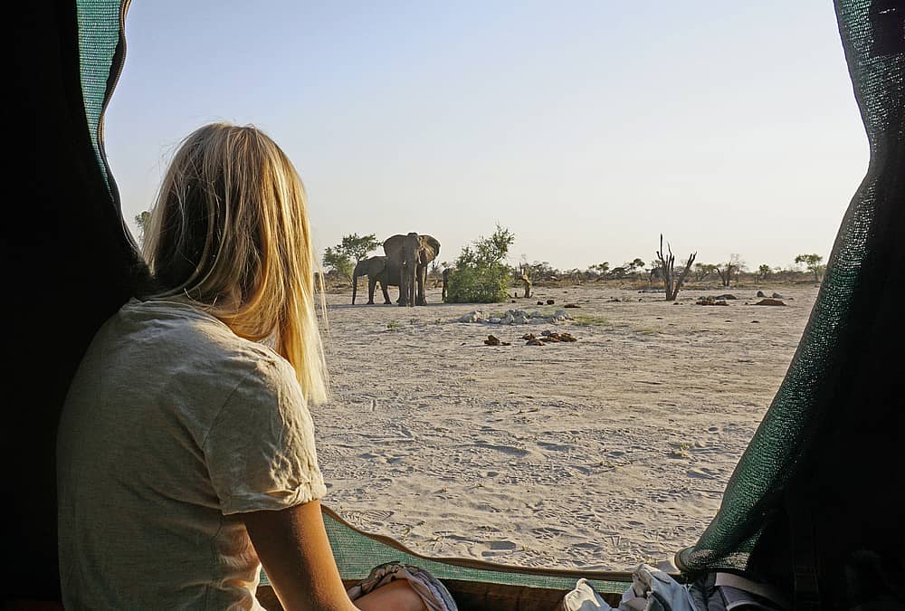 Camping-Abenteuer mit Abstecher nach Botswana