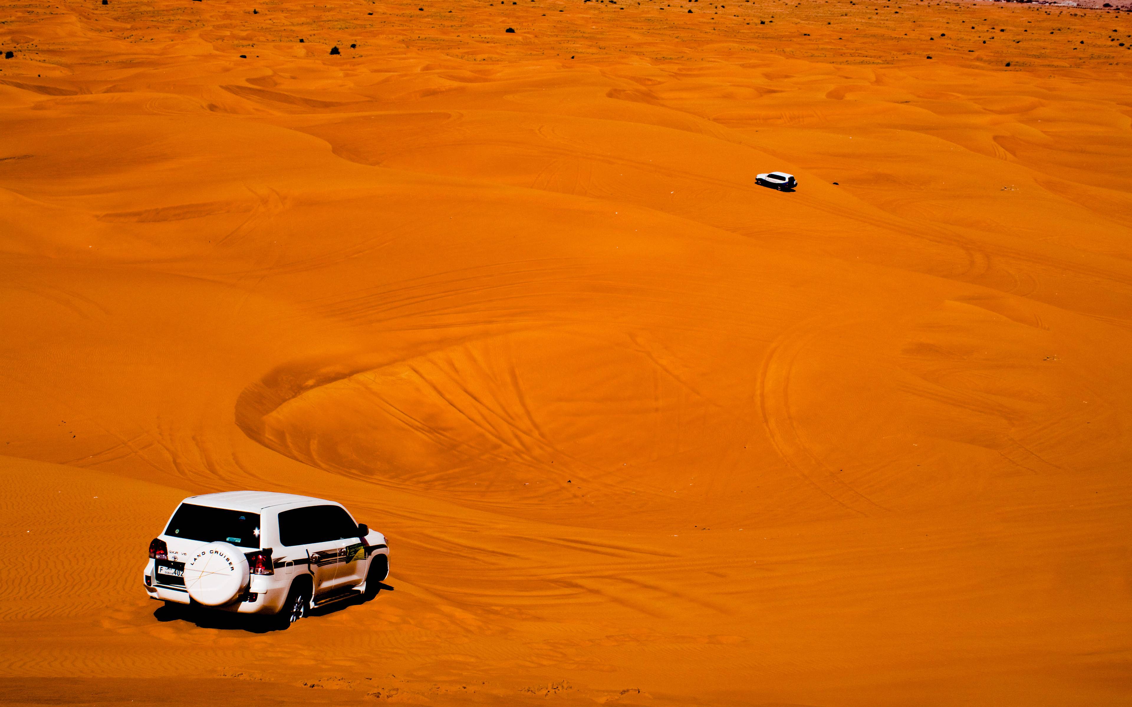 Safari nel deserto
