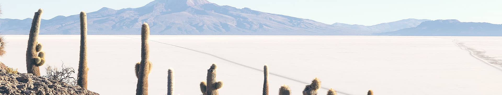 Viaggi nel deserto in Bolivia