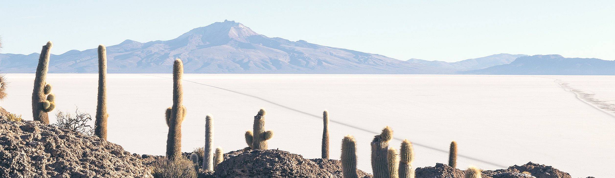 Viaggi nel deserto in Bolivia