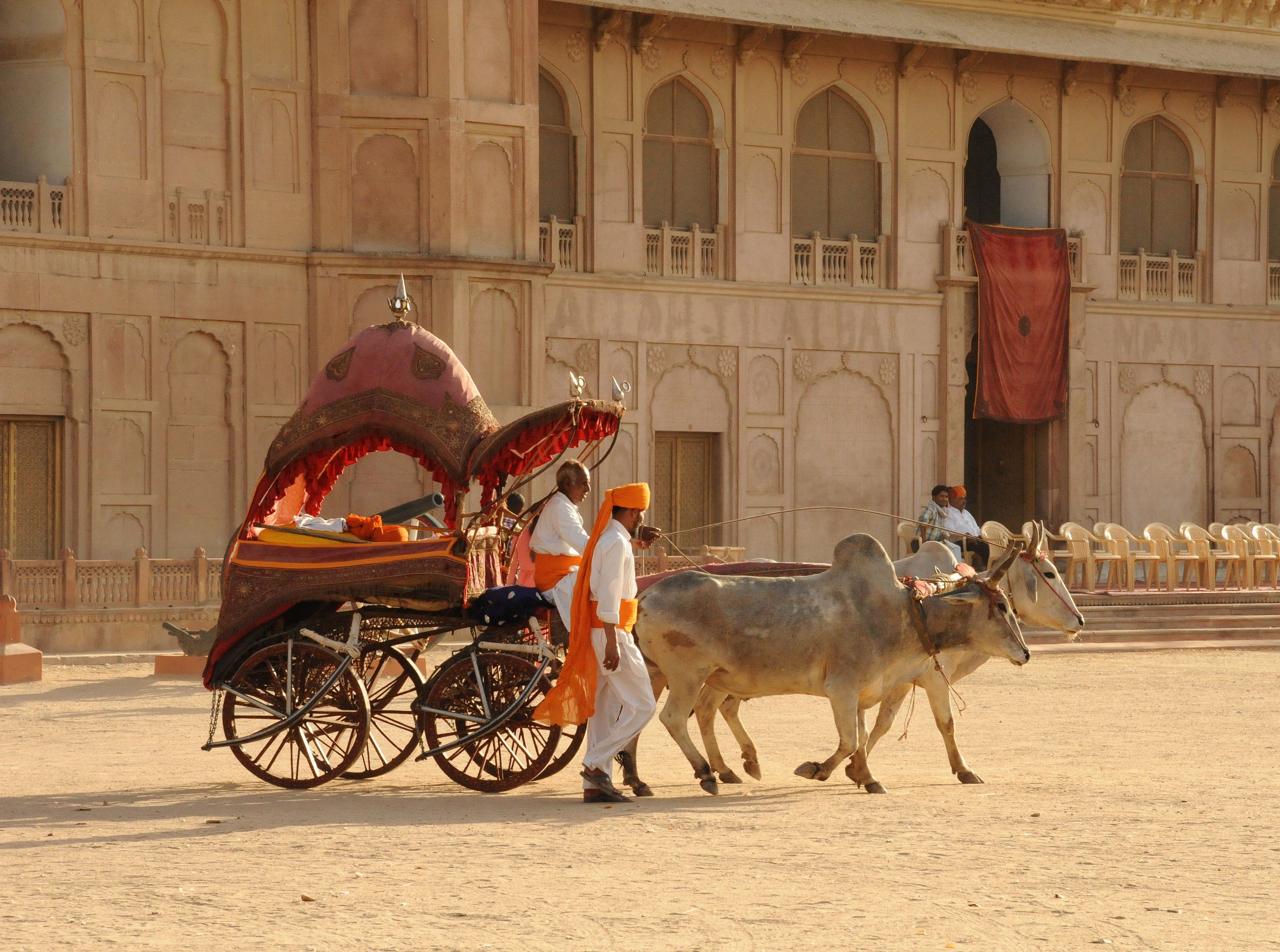 Esperienze culturali e umane nella terra dei Maharaja